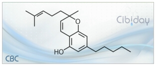 CBC Cannabichromene Info